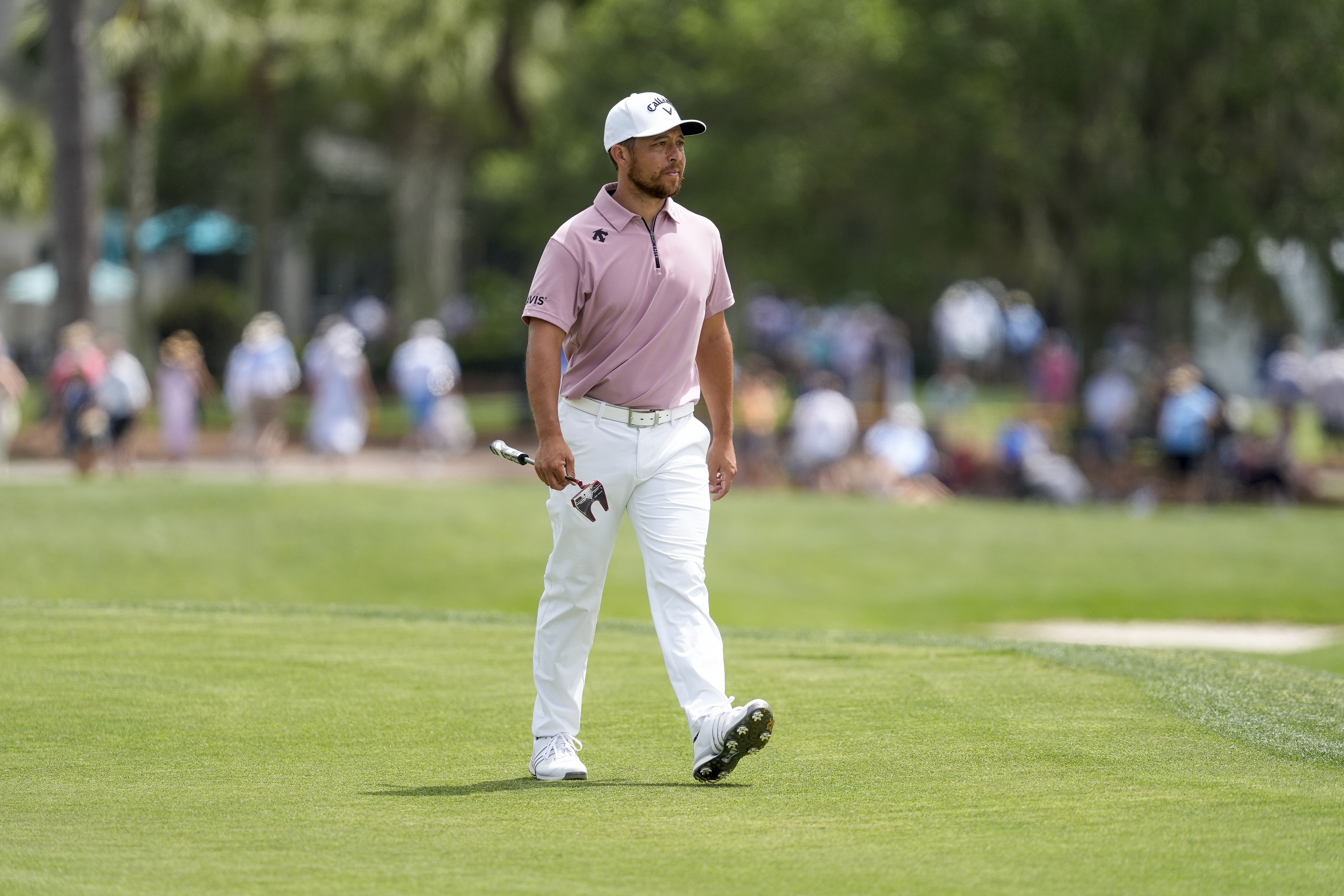 Xander Schauffele - RBC Heritage - Second Round - Source: Imagn